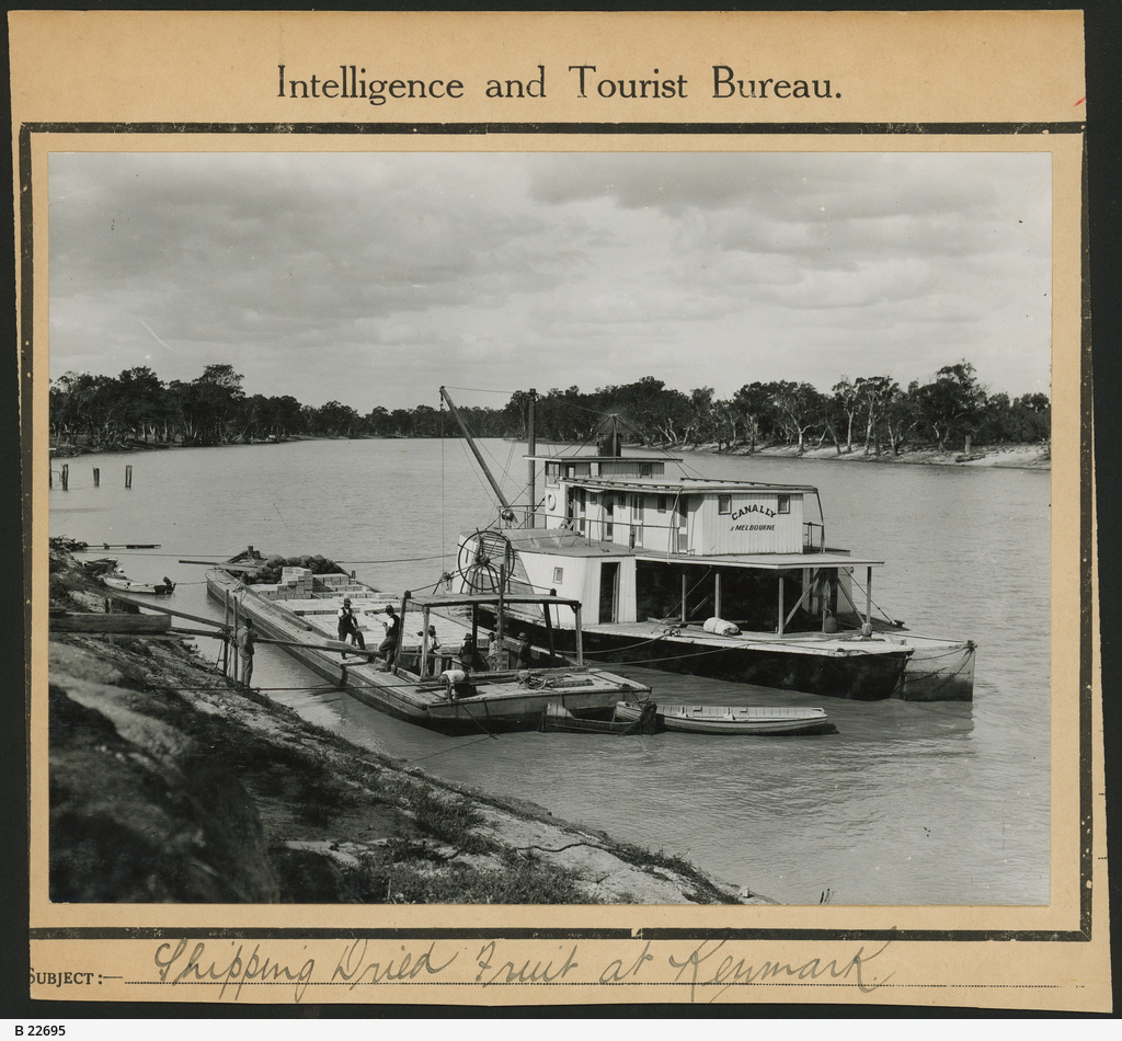Shipping dried fruits, Renmark • Photograph • State Library of South