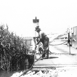 Narrung ferry at landing with the ferry operator at side