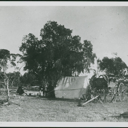 Typical Camp