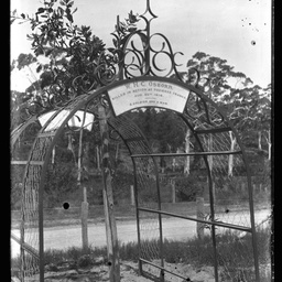 Collection of photographs taken around Adelaide by Theo Bachmann