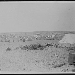 Tents at the Teetulpa gold field