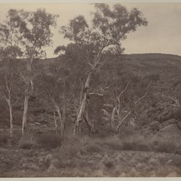 Creek in Everard Range