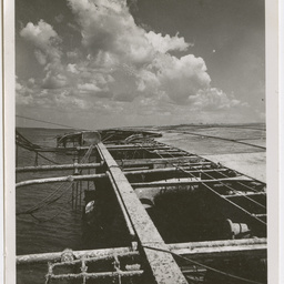 Colin James Ellis, World War II photograph album, Darwin.