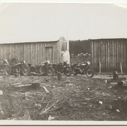 Views of pine plantation and saw mill