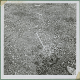 Photos from a report on the reconstruction of the East West Telegraph Line