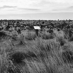 Site where C. F. Wells and G. L. Jones perished in the Great Sandy Desert