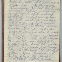 Diary of Trooper Miles Fletcher Swan