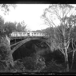 Collection of photographs taken around Adelaide by Theo Bachmann