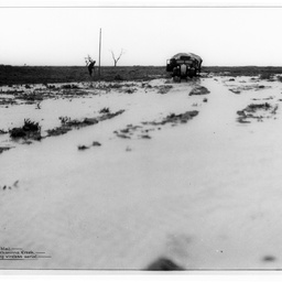 Birdsville Track