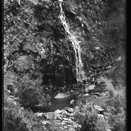 Collection of photographs taken around Adelaide by Theo Bachmann