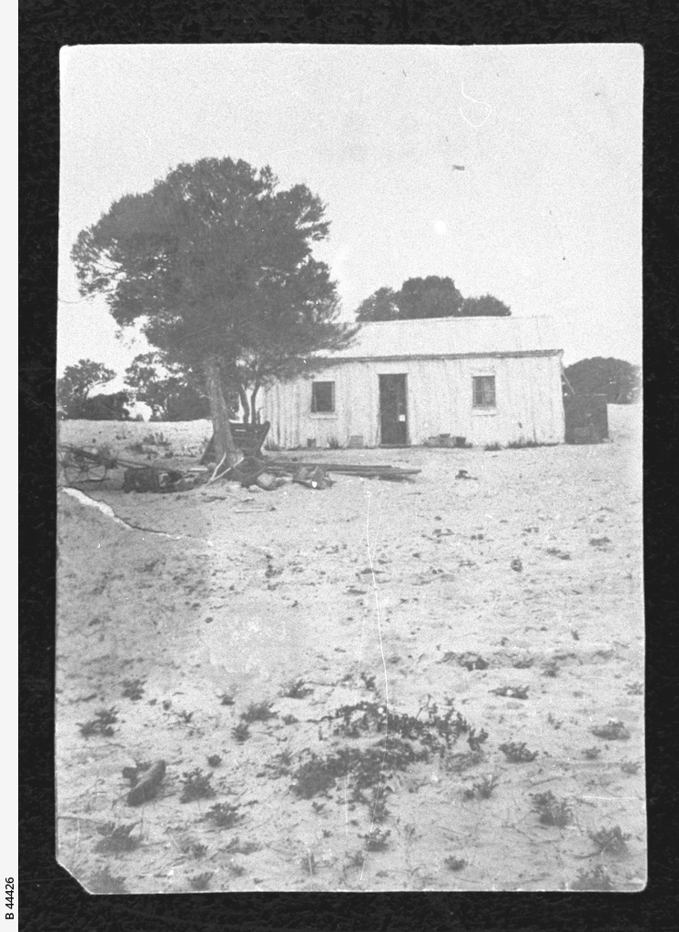 Pine Hut, Roxby Downs • Photograph • State Library of South Australia