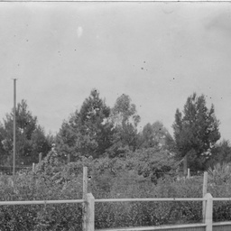 The garden at Peterborough railway station