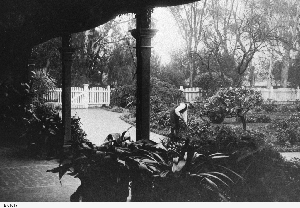 The garden of 'Mornington' at Unley • Photograph • State Library of