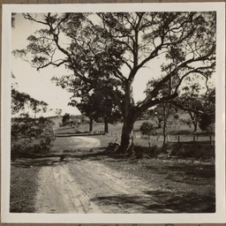 'On the Stokes Road'.