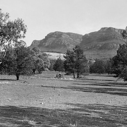 Wilpena Pound