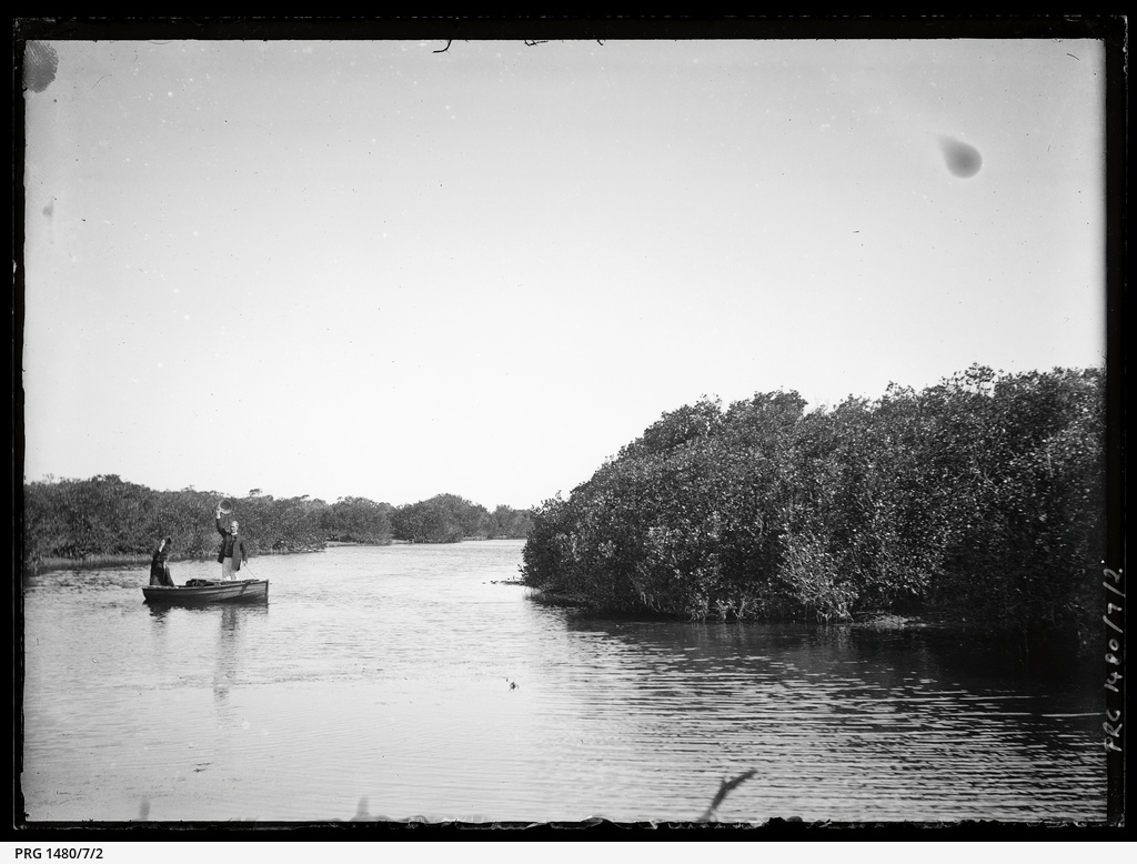 Cowell and Franklin Harbour, Eyre Peninsula • Photograph • State Library of South Australia