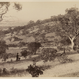 Views of early Adelaide : Belair