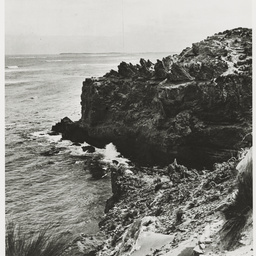 Selected photos taken by Henry Hammond Tilbrook