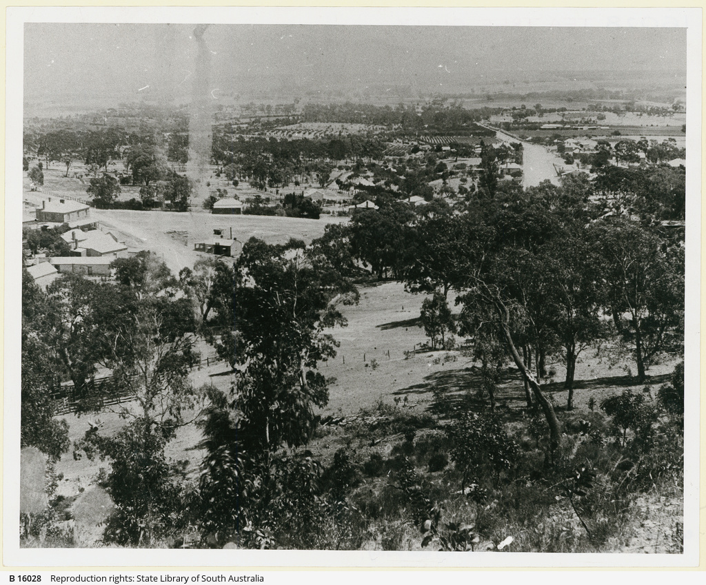 Tea Tree Gully • Photograph • State Library of South Australia