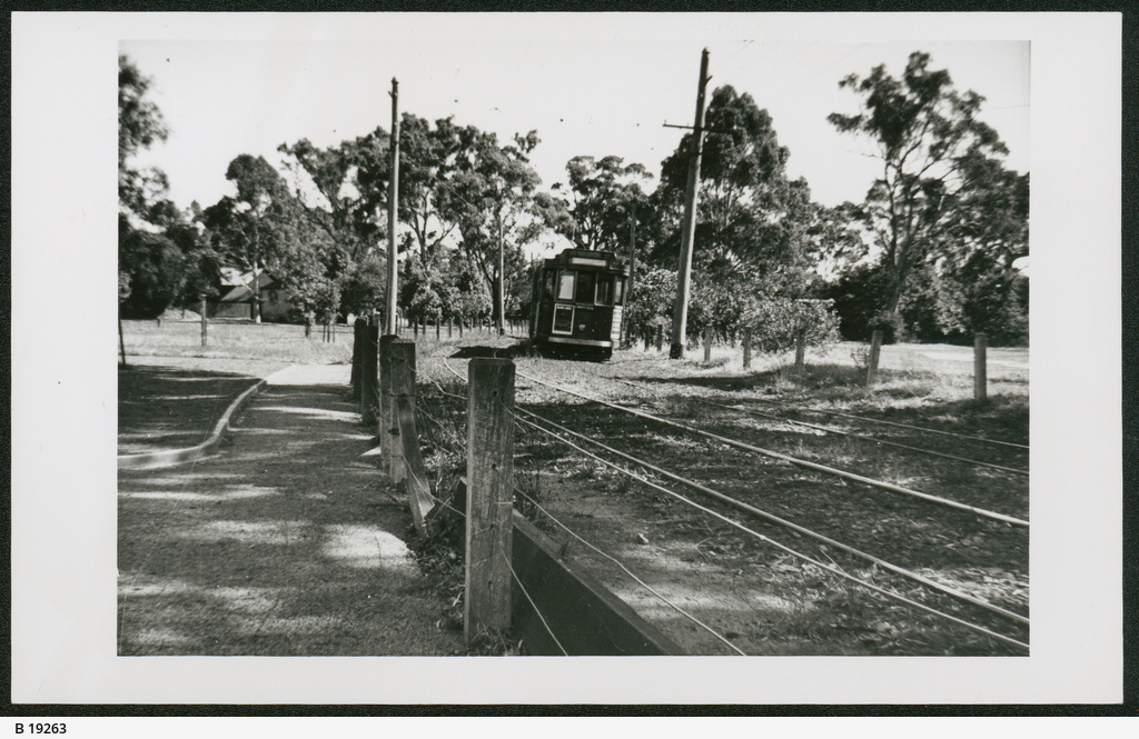 Heywood Park, Unley • Photograph • State Library of South Australia