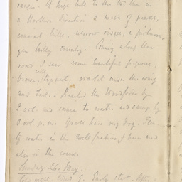 Handwritten diary of Dr Renner.