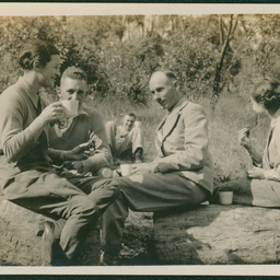 Chop picnic at Blackwood