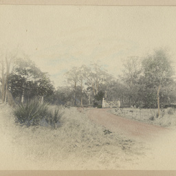 Robert Davenport family album