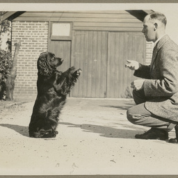Photograph album of South Australian and interstate scenes