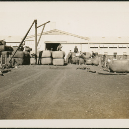 Woolshed at Bulgannia Station