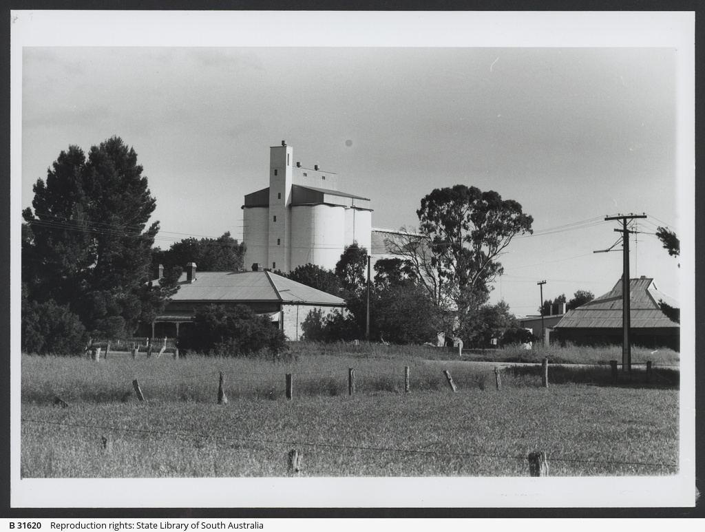Silos, Farrell Flat • Photograph • State Library of South Australia