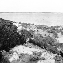 A.H. Ross's shack at Nine Mile Point, The Coorong