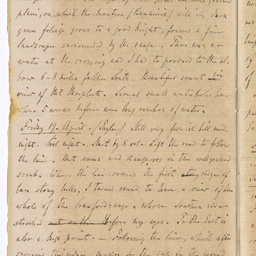 Handwritten diary of Dr Renner.