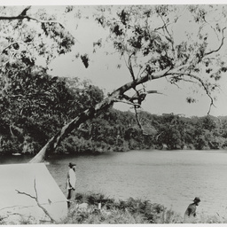 Selected photos taken by Henry Hammond Tilbrook
