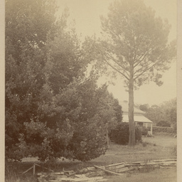 Robert Davenport family album