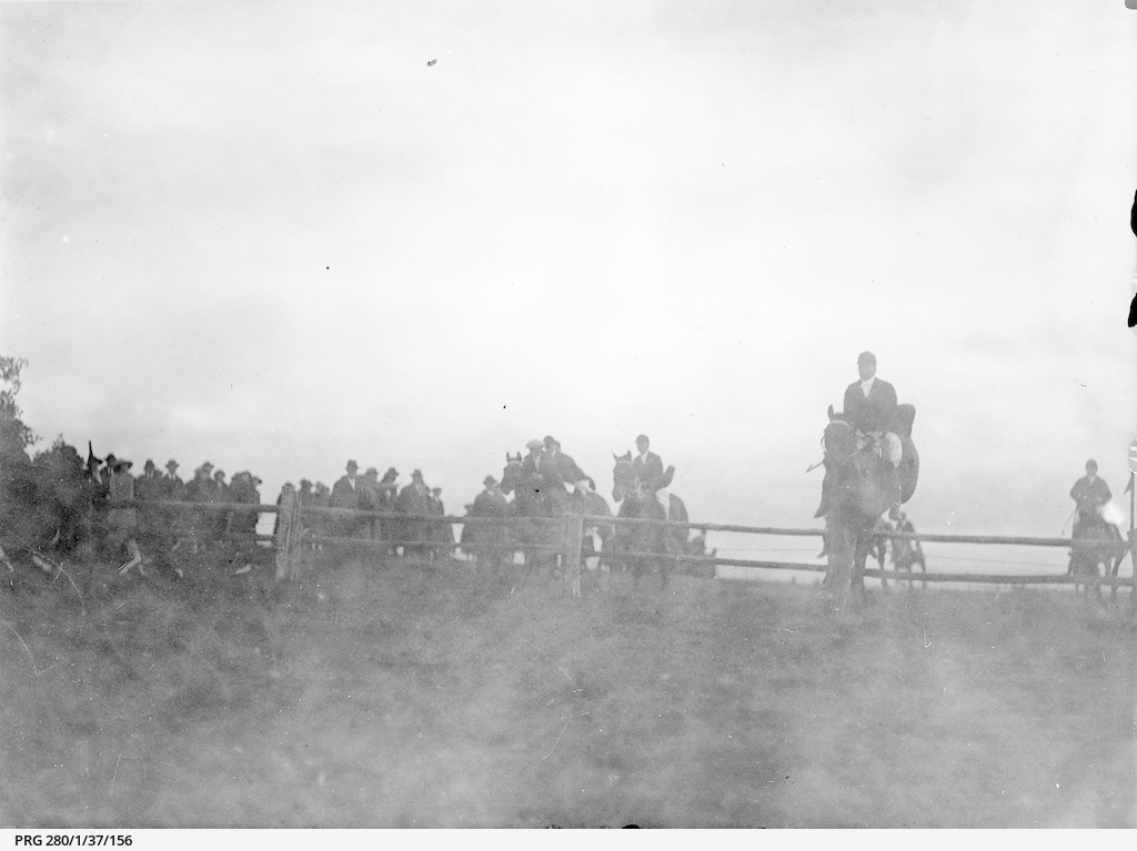 Fox hunting in South Australia • Photograph • State Library of South Australia