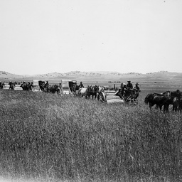 Horse drawn harvesters