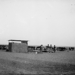 Men and horses.