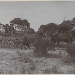 Messrs Pales and Chenye leaving for Fowlers Bay