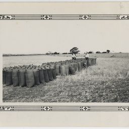 Scenes of South Australia