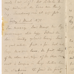 Handwritten diary of Dr Renner.