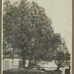 Unidentified scene