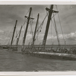 Colin James Ellis, World War II photograph album, Darwin.