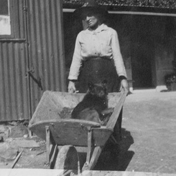 Woman with dog in a wheel barrow