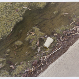 Photographs of public events and sites around Glenelg and the south-western suburbs of Adelaide