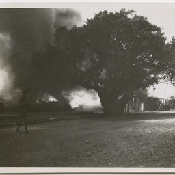 Colin James Ellis, World War II photograph album, Darwin.
