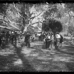 Collection of photographs taken around Adelaide by Theo Bachmann