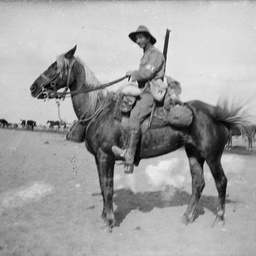 Light Horse soldier on mount.