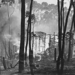 Bushfires in the Adelaide Hills