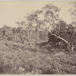 Wa-Wee Waterhole