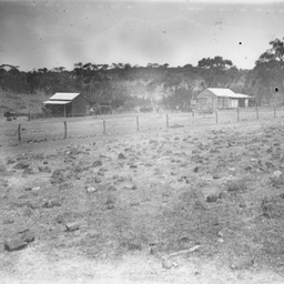 Rural scene